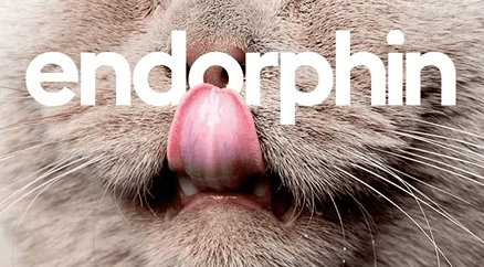 Выбор стека для старта: Next.js, React Native и когда это окупается