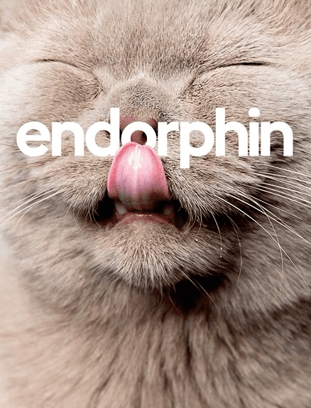 Выбор стека для старта: Next.js, React Native и когда это окупается