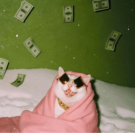 SEO для малого бизнеса: быстрые победы за 30 дней